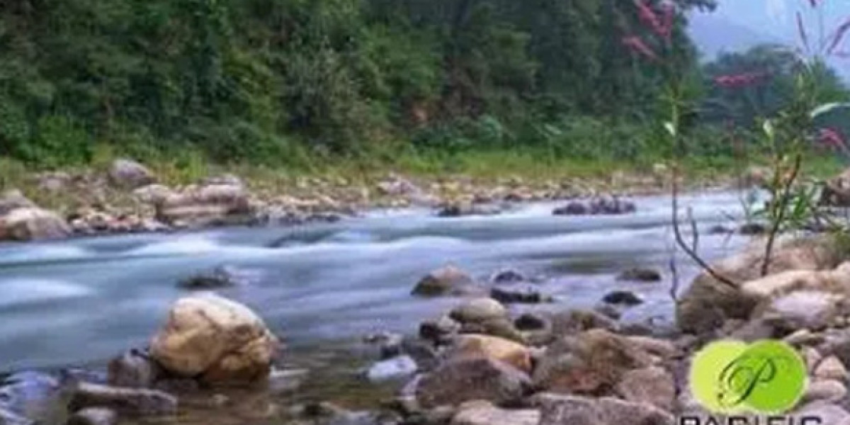 riverside resort in rishikesh